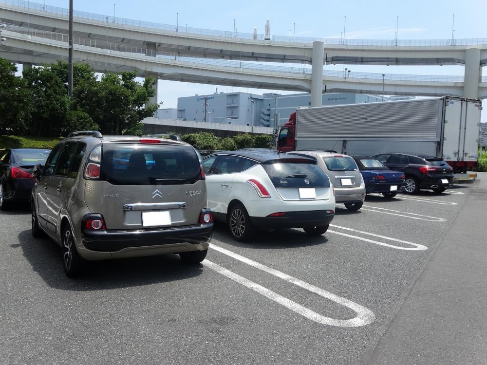 DSC00566 - コピー10th.jpg